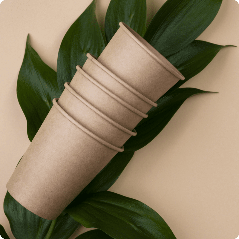Kraft paper cups with green leaves