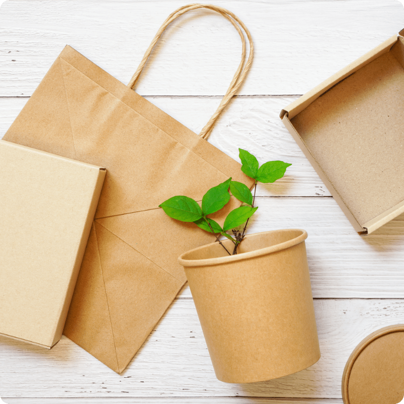 Paper bags, boxes and cups
