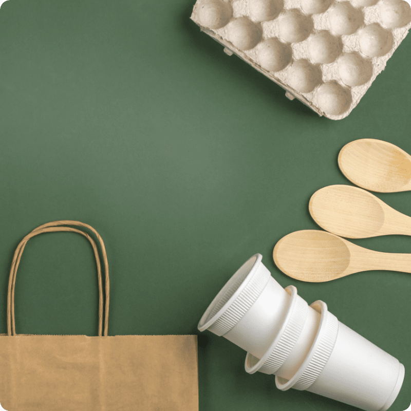 Biodegradable paper cups, bags, egg box and wooden spoons